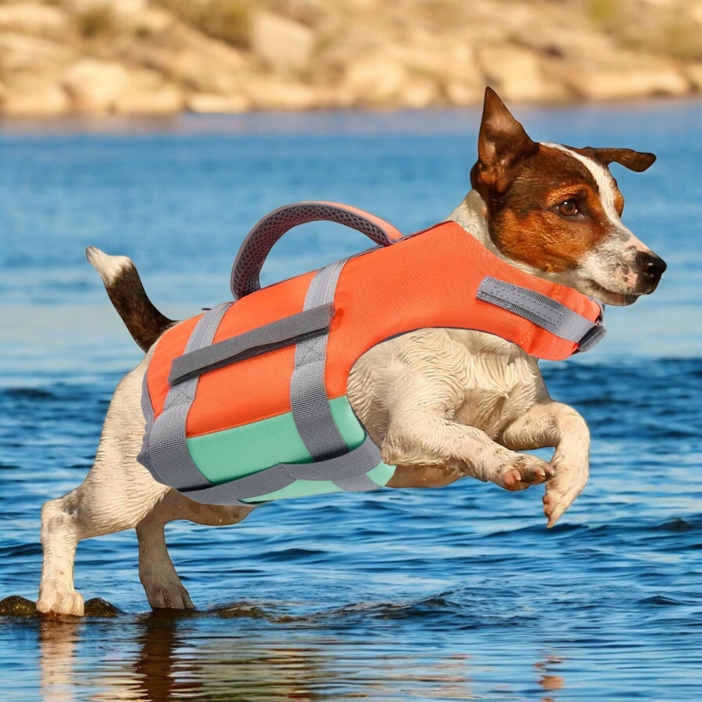 Orange and Gray Dog Life Jacket